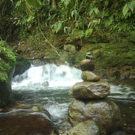 Habana River Lodge And Sanctuary La Fortuna Εξωτερικό φωτογραφία