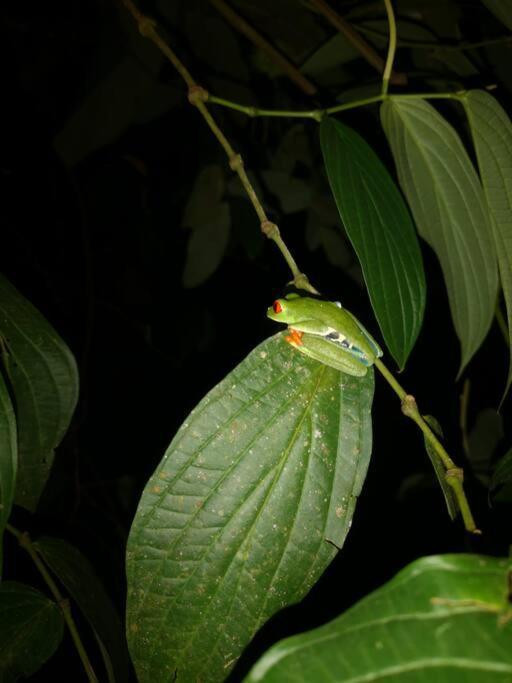 Habana River Lodge And Sanctuary La Fortuna Εξωτερικό φωτογραφία