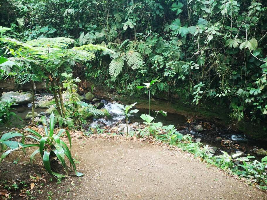 Habana River Lodge And Sanctuary La Fortuna Εξωτερικό φωτογραφία