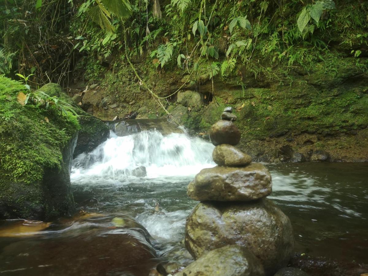 Habana River Lodge And Sanctuary La Fortuna Εξωτερικό φωτογραφία